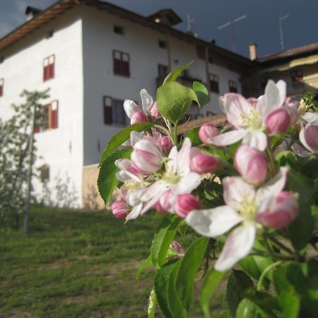 فيلا Agritur Maso San Bartolomeo Romeno المظهر الخارجي الصورة