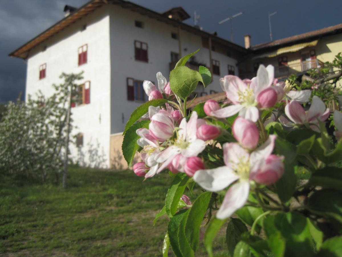 فيلا Agritur Maso San Bartolomeo Romeno المظهر الخارجي الصورة